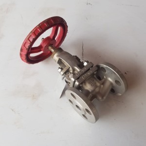 Stainless Steel Flanged End Globe Valve CF8M