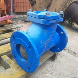 Ball Check Valve PN16