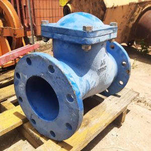 Ball Check Valve PN16