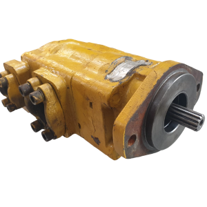 P31 Double Gear Pump