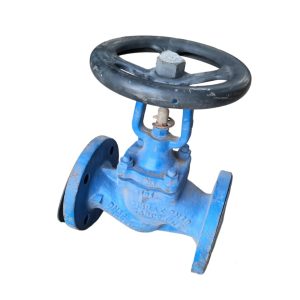Spirax Sarco DN40 Flanged End Globe Valve