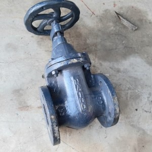 Cast Iron Flanged Gate Valve BS3464