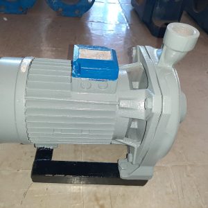 Ebara Centrifugal Water Pump CMB 550T