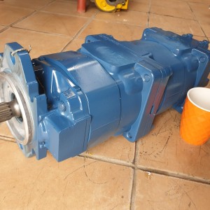 Hydraulic Piston Pump