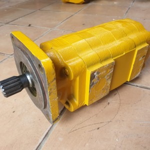 Parker P51 Double Gear Pump