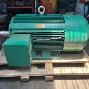 Marathon Electrical Motor 3 Phase 200kW