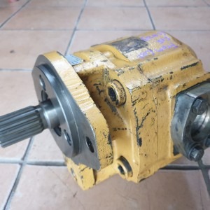 David Brown Hydraulic Gear Pump 058304R1C6160/058304
