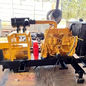 Ford Diesel Generator 50kVA