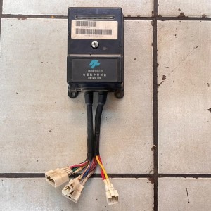 Direct Current Electrical Control Box E1001001