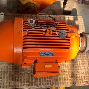 WEG Electric Motor 30kW 550V