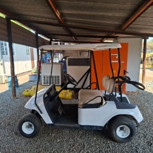 E-Z-Go Golf Cart