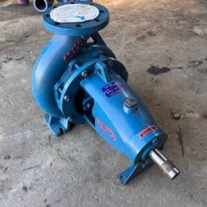 Eagle EA 80/20 Horizontal Single-Stage End-Suction Centrifugal Bareshaft Water Pump